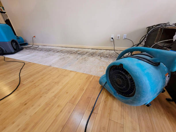 Professional Water Damage Repair technician working in Pershing, IN